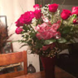 Meet your Posher, Nina